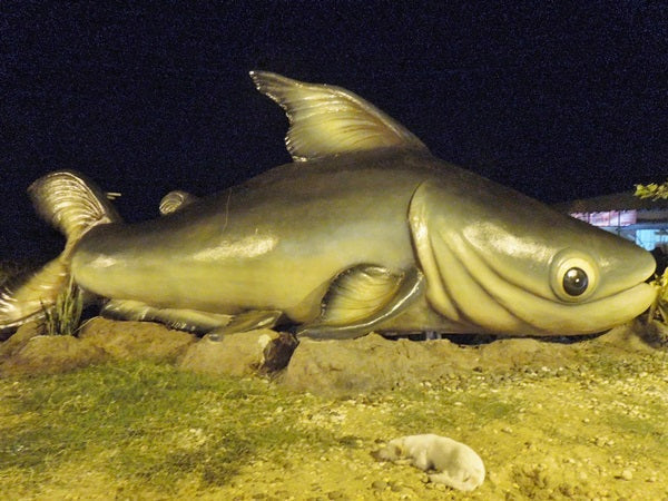 ブンサムランフィッシングパークの遊び方！タイで釣りをするなら必見！