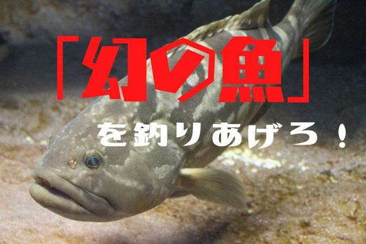 クエ釣りのタックルや仕掛けとは？超高級魚を自力で釣り上げよう！