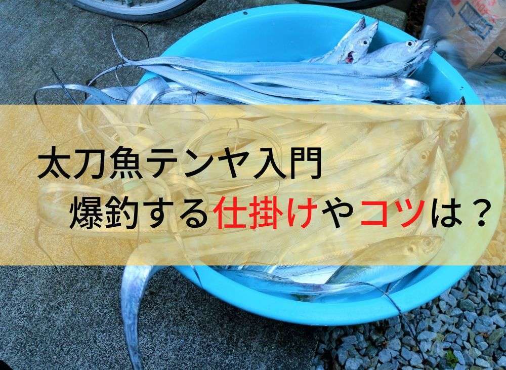 【初心者必見】太刀魚テンヤ超入門！タックルや釣り方・コツなど