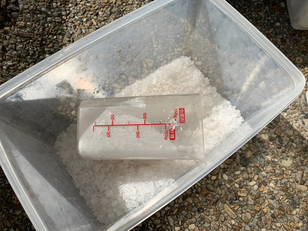 メダカの塩浴のやり方と効果！塩の種類や濃度はどれくらいがベスト？