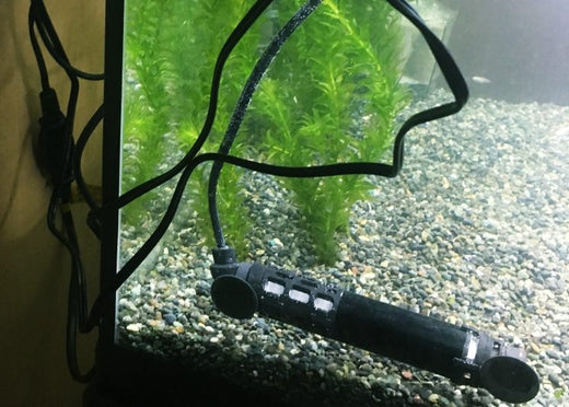 【決定版】水槽用ヒーターの選び方とおすすめ16選！電気代を抑えるコツは？