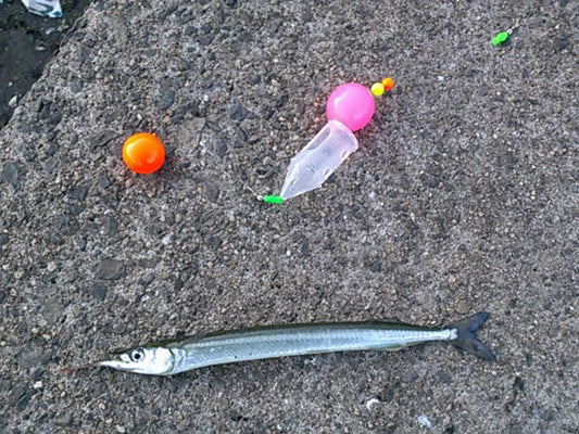 サヨリ釣りの3つのコツ！数釣りを楽しめる時期や釣り方は？