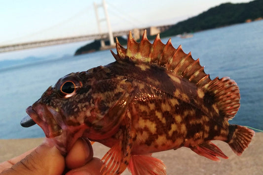 誰でも釣れる穴釣り入門！最低限知っておきたい道具と釣り方