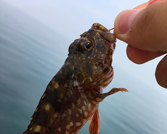 穴釣り仕掛け3タイプの違いと使い分け！根がかりの対策法は？