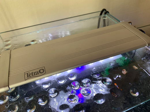 水槽用ライト（照明）おすすめ人気ランキングTOP10！アクアリウムをもっと綺麗に楽しもう