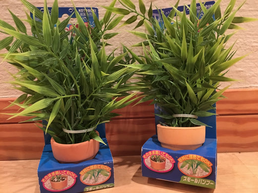 人工水草おすすめ10選！手軽に水草レイアウトにトライ！