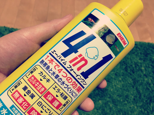 エーハイムはドイツの老舗メーカー！人気フィルターと注目商品7選！