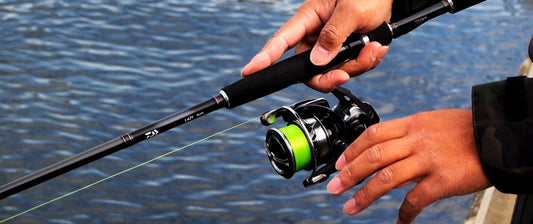 ダイワのレイジーでシーバス入門！性能と価格に優れた高コスパロッド！