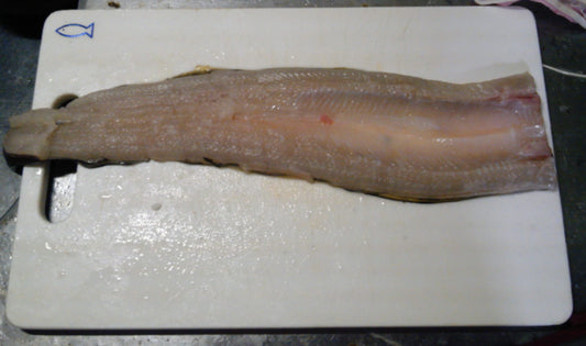 穴子の美味しい料理7選！刺身で食べるのは危険って本当？