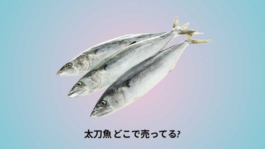 太刀魚 どこで売ってる｜購入できる店舗とおすすめ市場ガイド