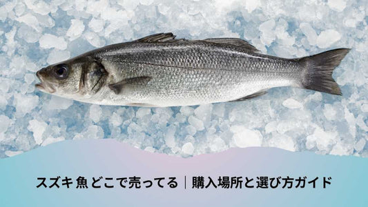 スズキ 魚 どこで売ってる