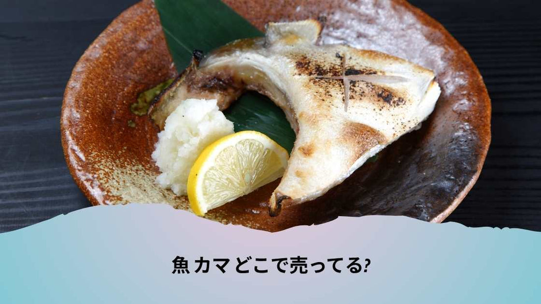 魚 カマ どこで売ってる
