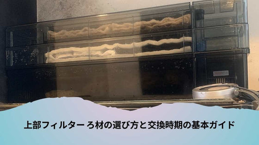 上部フィルター ろ材の選び方と交換時期の基本ガイド