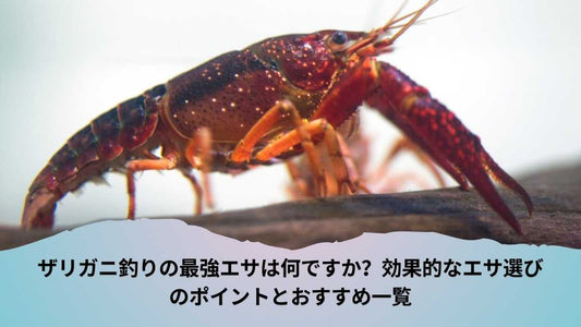 ザリガニ釣りの最強エサは何ですか？