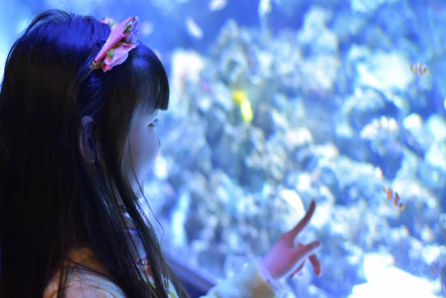 関東の水族館まとめ！有名観光地から穴場まで盛り沢山！