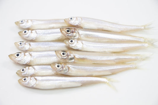 ワカサギの生態や美味しい食べ方は？実は外来種ってホント？