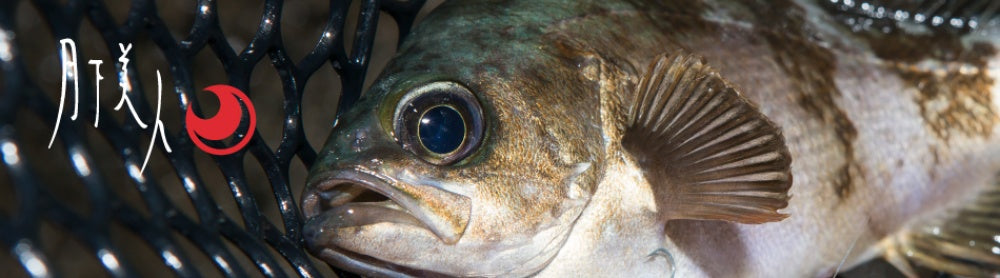 月下美人のロッド全シリーズを網羅！専用機種の快適性を体感せよ！