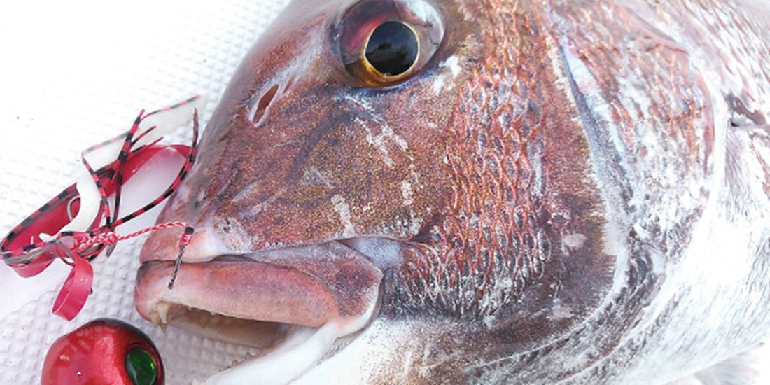 【鯛ラバ攻略】必要タックル&仕掛けの選び方&釣り方！おすすめ鯛ラバ最新ランキングも