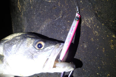 ジグキャスターMXとメタルジグ各種 7fd04b0cd5ba3e0aa63567ac6a61b3