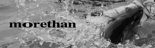 モアザンシリーズのロッド&リール11機種！人気のルアーや小物系も充実！