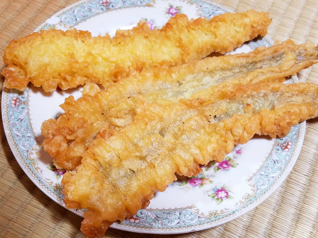 夏が旬な魚は盛りだくさん！誰もが知る魚から、意外な美味魚まで公開